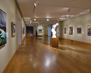 VISITING DES MOINES ART CENTER